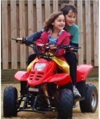 어린이 ATV 가솔린은 어떤 종류의 어린이입니까?