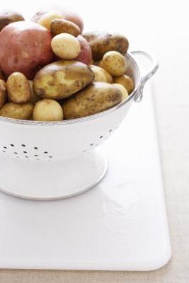 Rocco Potato : 학년, 사진에 대한 설명