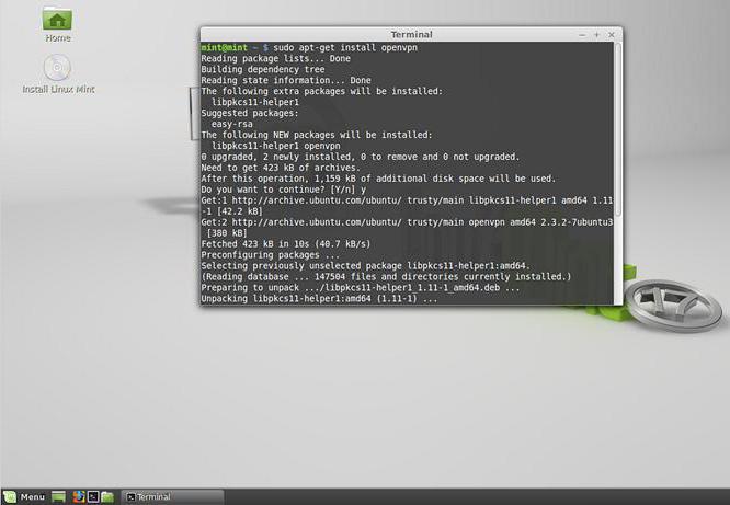 리눅스 민트 설치 방법 : 단계별 지침, 기능 및 리뷰