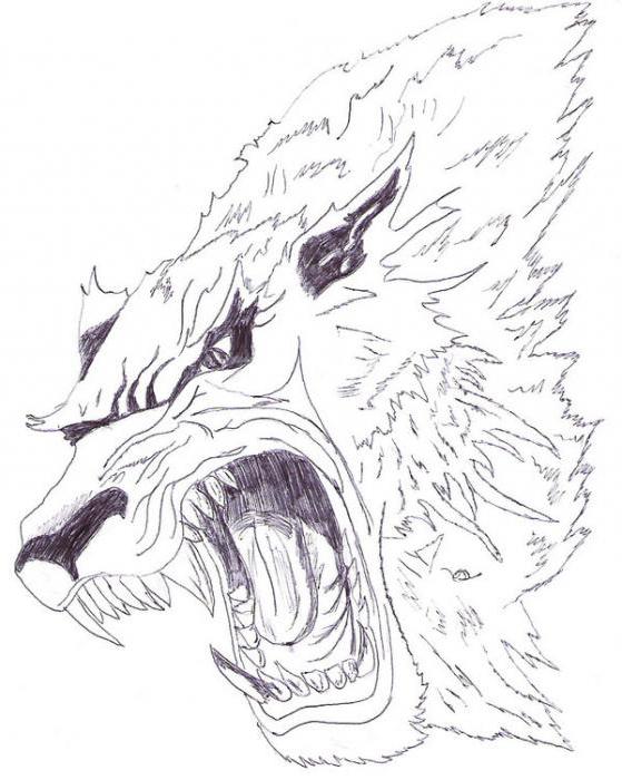 늑대 인간 - 의미가있는 문신