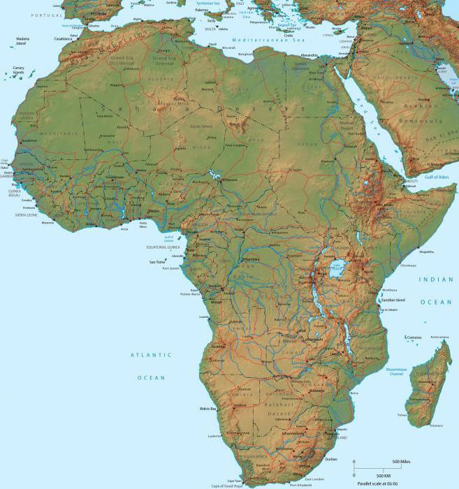 아프리카 본토는 어때?