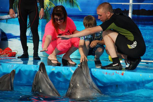 Dolphinarium (Novorossiysk) - 감탄과 재미의 바다