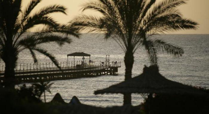 Flamenco Beach Resort 4 * (이집트 / 엘 쿠세 이르) : 사진 및 관광객 리뷰