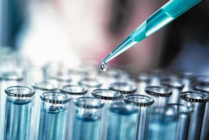 Immunoblot -이게 뭐지? 감염성 질환 진단을위한 면역 블로트