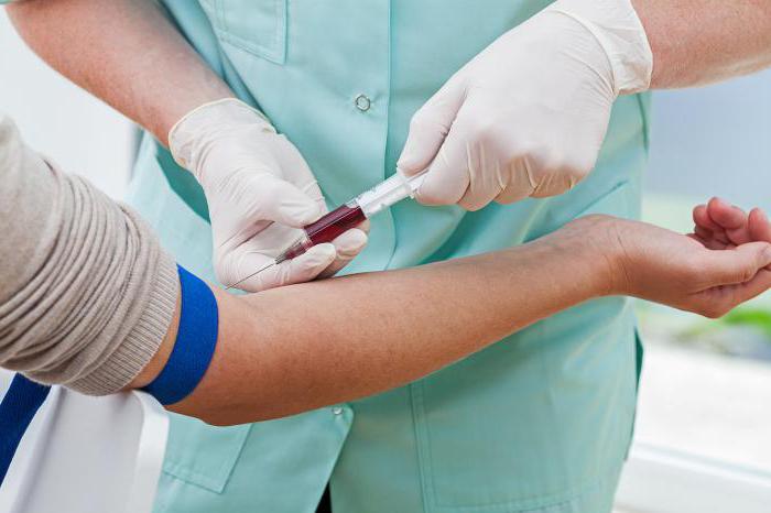 혈액 검사에서 백혈구가 어떻게 나타나며 규범은 무엇입니까?