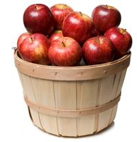 사과가 몸에주는 유익 : 익숙한 과일의 놀라운 특성
