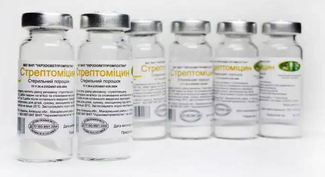 동물 용 Streptomycin : 사용, 설명 및 리뷰 용 지침